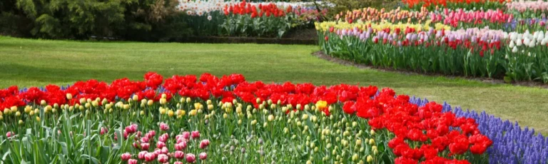 Planter is a Tool for Sustainable Landscape Design