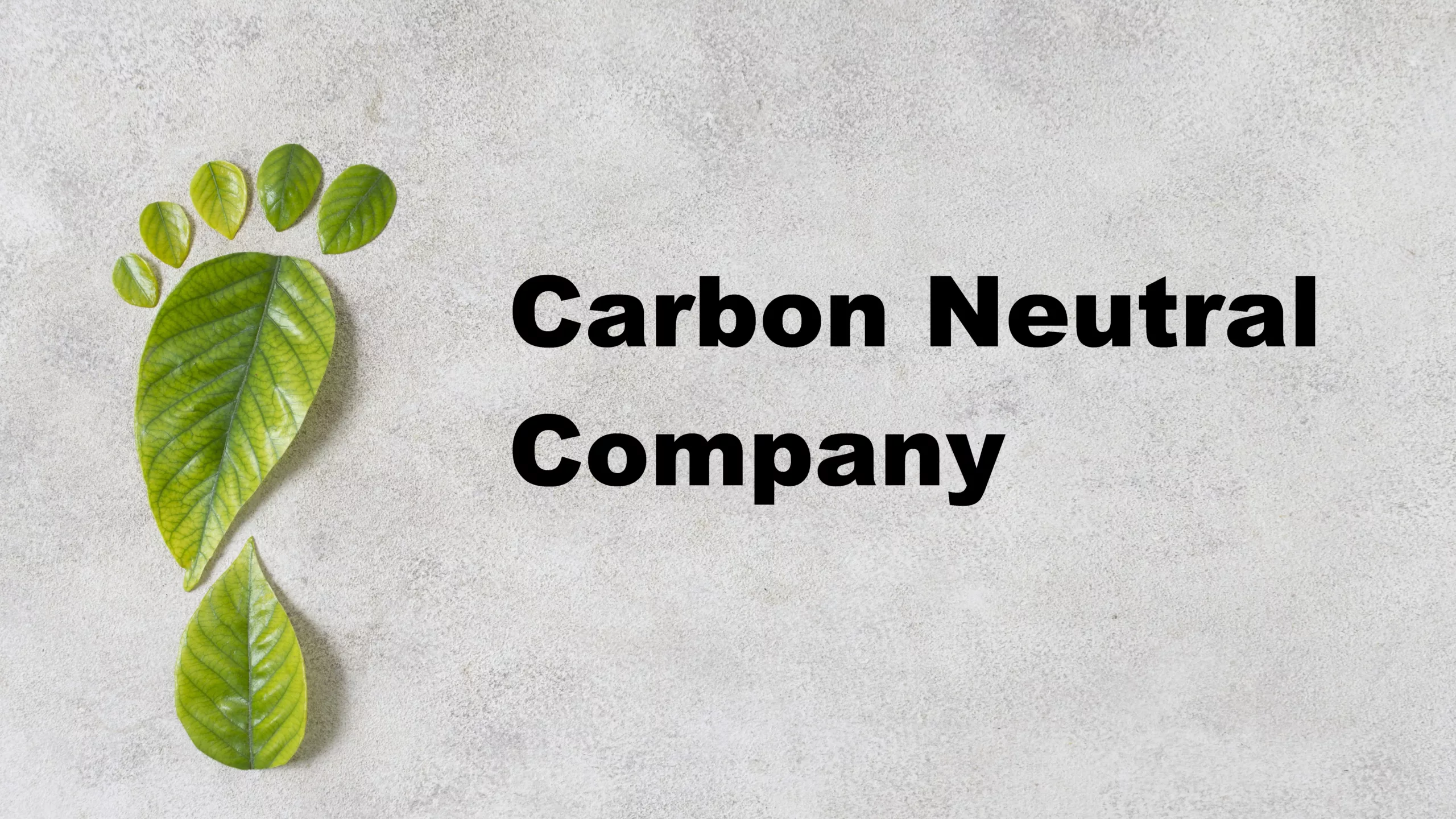 Becoming a Carbon-Neutral Company - Gislen Software