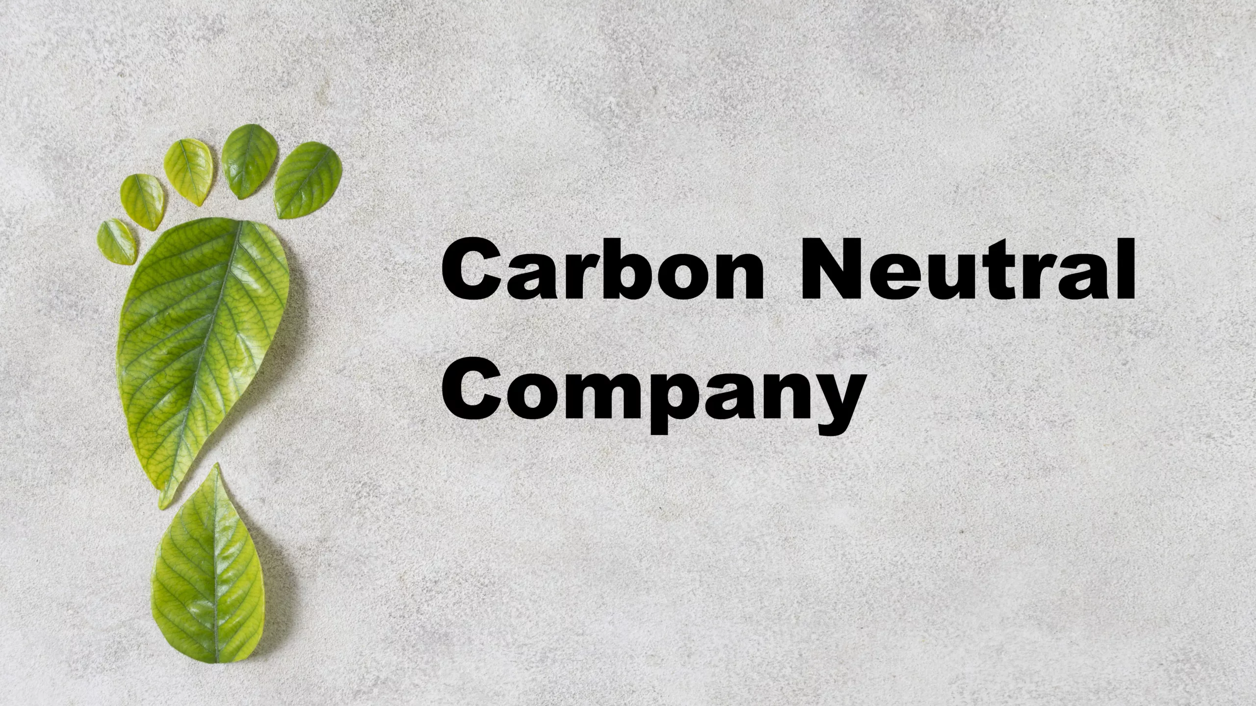 Carbon neutral company