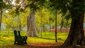 Pondicherry Botanical Garden
