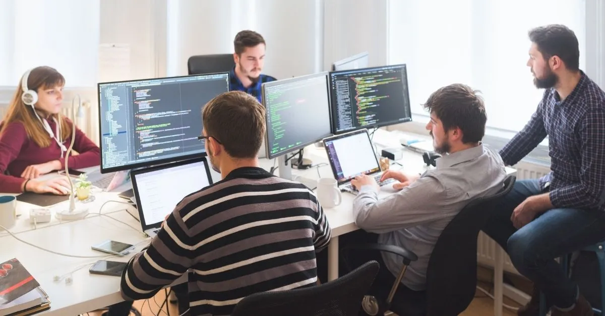 Bespoke Software Development